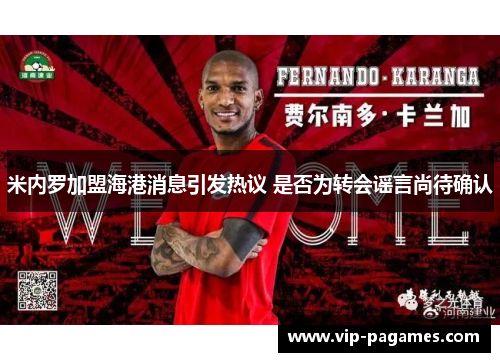 米内罗加盟海港消息引发热议 是否为转会谣言尚待确认