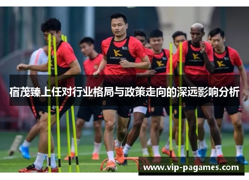 宿茂臻上任对行业格局与政策走向的深远影响分析