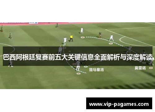 巴西阿根廷复赛前五大关键信息全面解析与深度解读