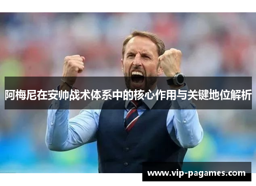 阿梅尼在安帅战术体系中的核心作用与关键地位解析