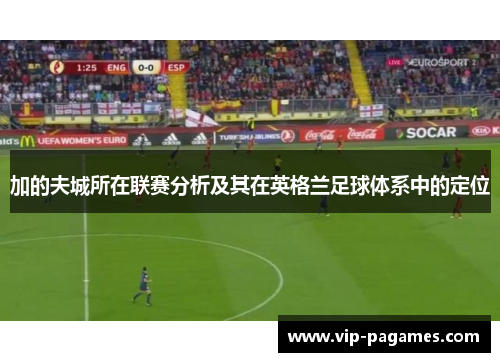 加的夫城所在联赛分析及其在英格兰足球体系中的定位