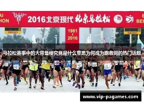 马拉松赛事中的大带鱼梗究竟是什么意思为何成为跑者间的热门话题