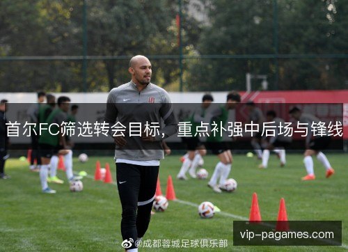 首尔FC筛选转会目标，重点补强中后场与锋线