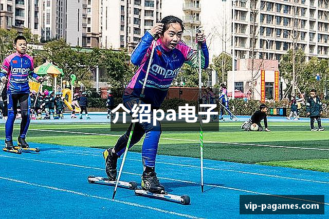 介绍pa电子